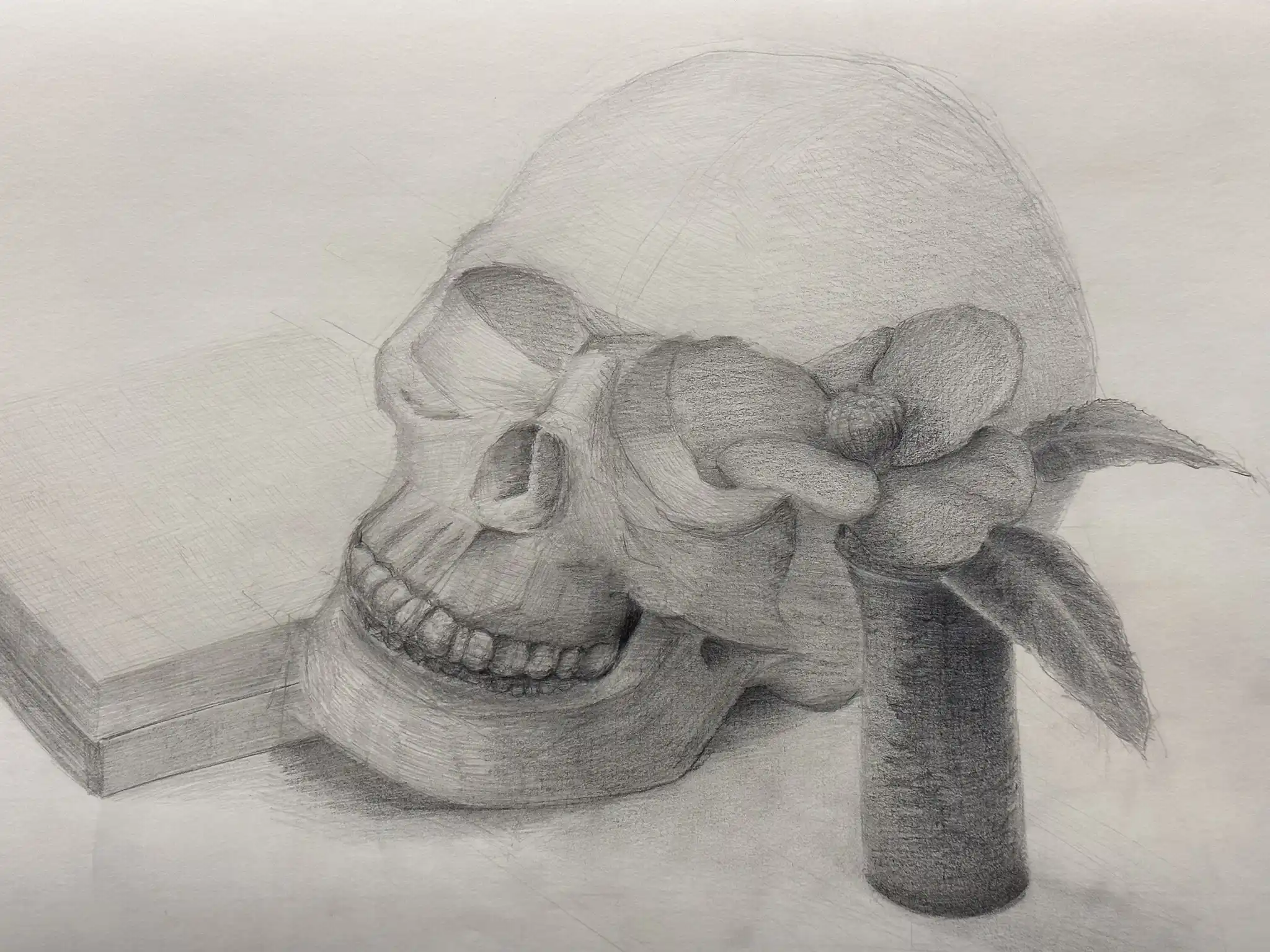 Pencil sketch of a still life featuring a human skull resting on a book, with a flower in a cylindrical vase positioned next to it