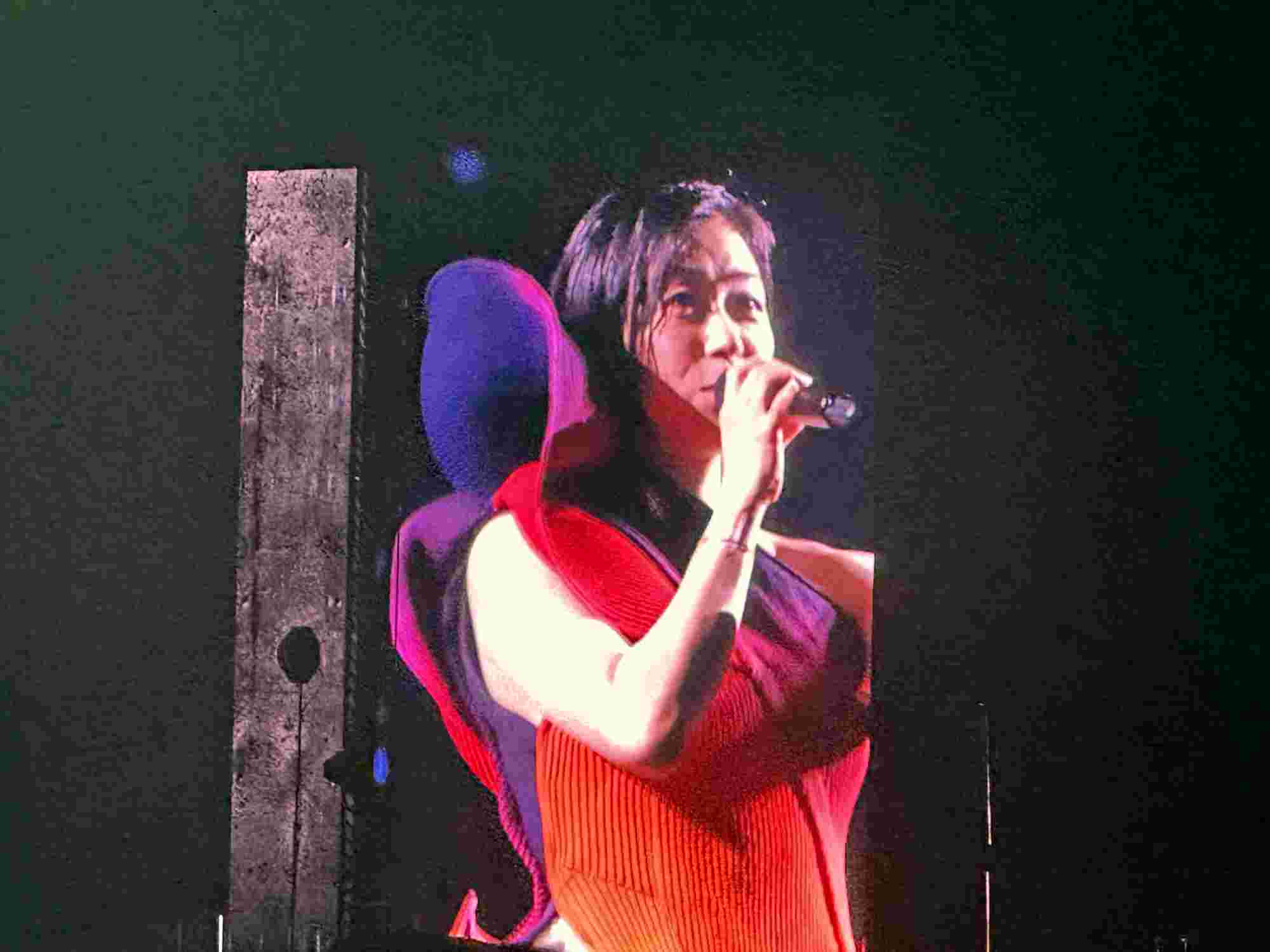 Close-up of Hikaru Utada displayed on a large screen during a live performance, wearing a striking red and purple outfit while singing into a microphone. The dark background enhances the vivid colors and their captivating presence